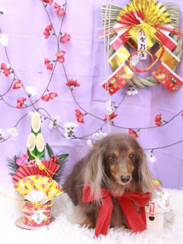 20230122ココアちゃん